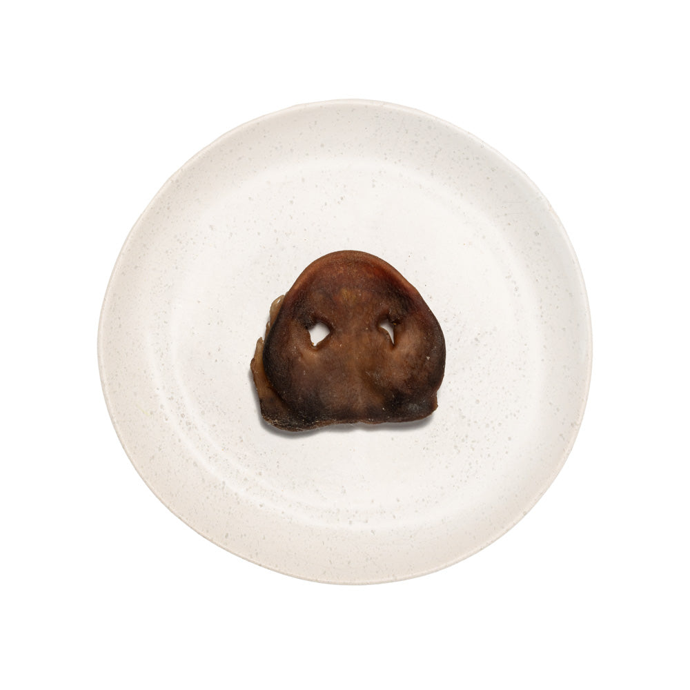 PIG SNOUTS